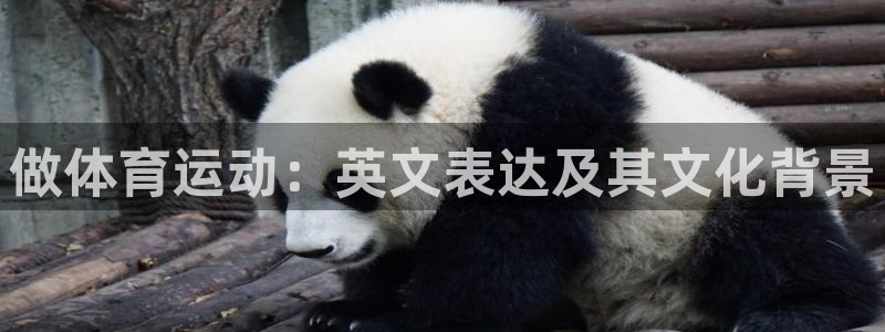 米兰体育官网下载娱乐:做体育运动:英文表达及其文化背景