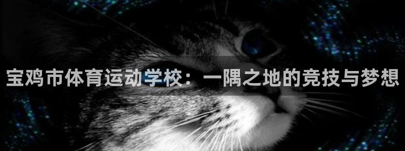 米兰体育官网下载平台注册流程图:宝鸡市体育运动学校:一隅之地